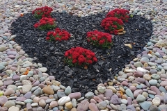 heart-ground-cover_gallery