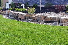 complete-yard-3_gallery