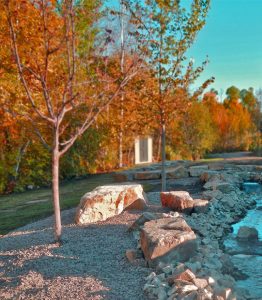 Three Seasons Landscaping Ltd photo 5
