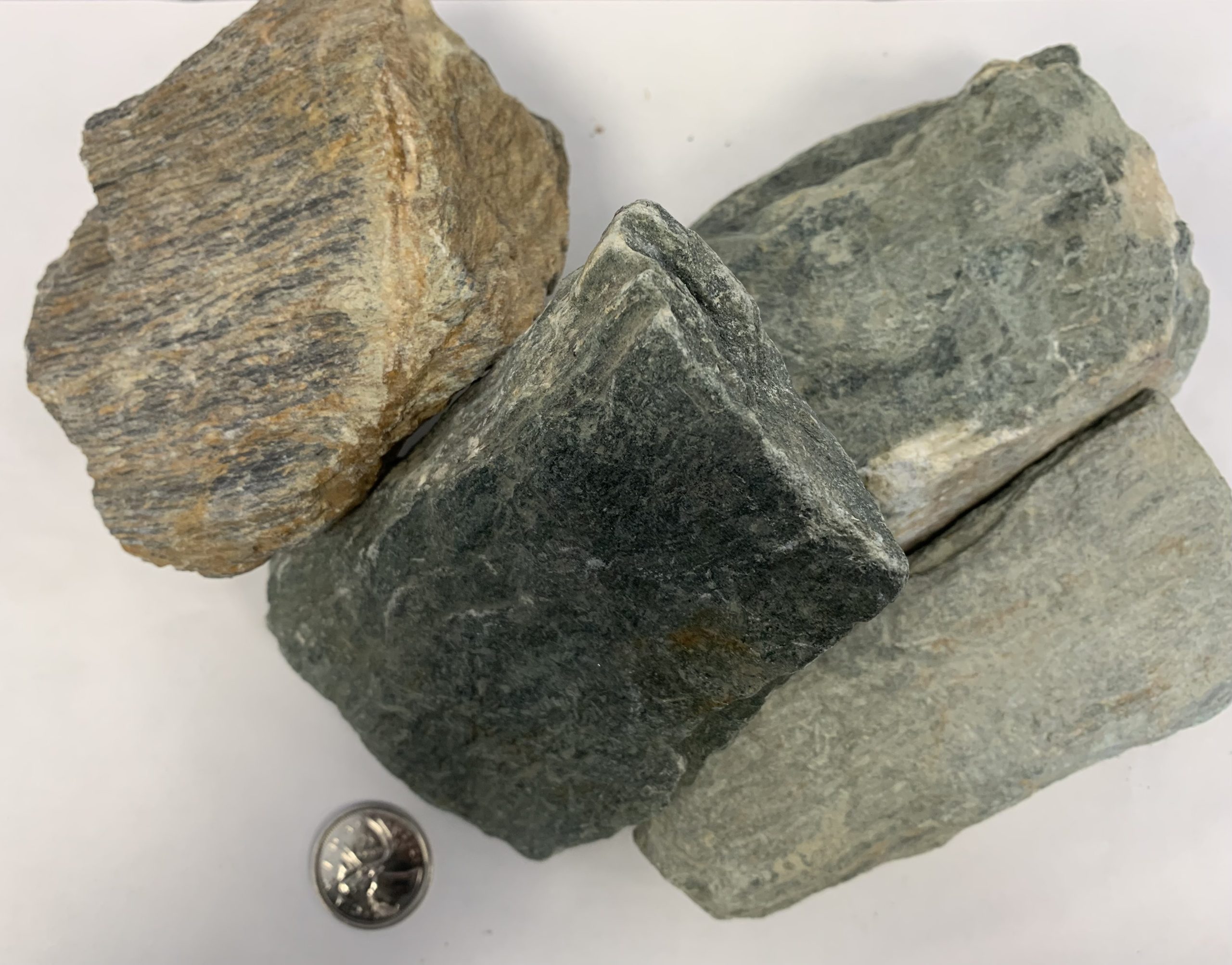 Emerald Ash Tailings, Sherwood Park Landscaping Supplies