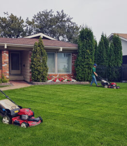 Three Seasons Landscaping Ltd photo 6